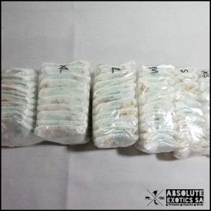 food11